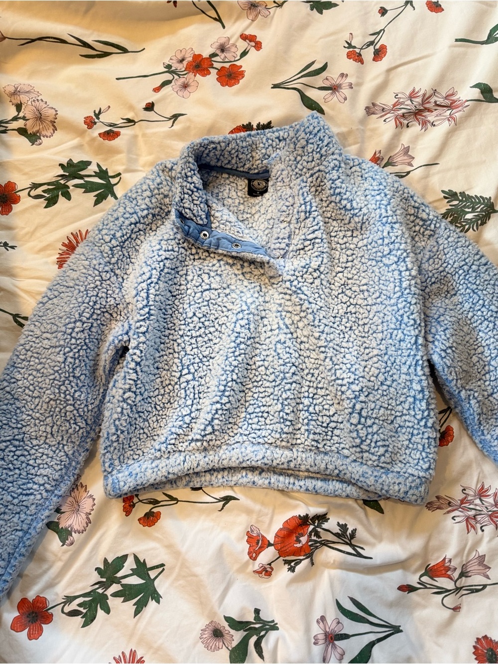 PacSun Light Blue Sherpa Snap-Neck Pullover